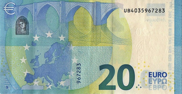 A twenty euro banknote.