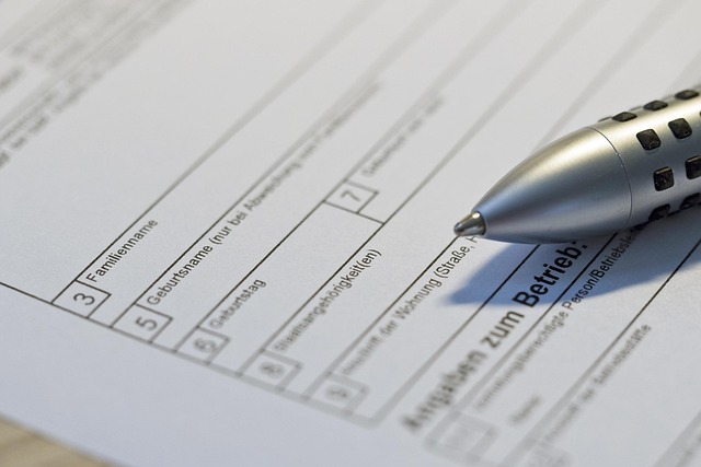 A German official form with fields for surname, date of birth and nationality, a pen resting on it.
